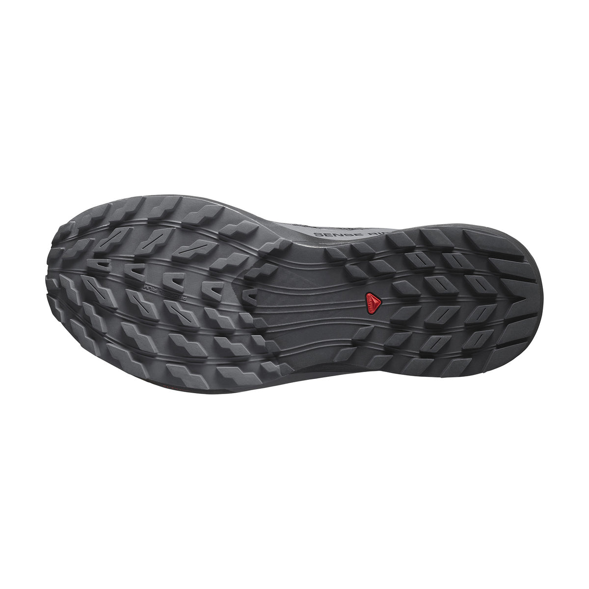 Salomon Sense Ride 5 GTX Black/Magnet